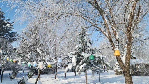 Elazığ&rsquo;da dondurucu soğuklar: Karako&ccedil;an&rsquo;da termometreler -22&rsquo;yi g&ouml;sterdi
