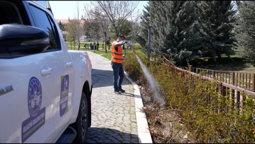 Elazığ&rsquo;da haşereyle m&uuml;cadele s&uuml;r&uuml;yor
