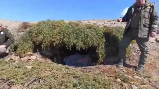 Elazığ&rsquo;da ka&ccedil;ak meterisler  imha edildi
