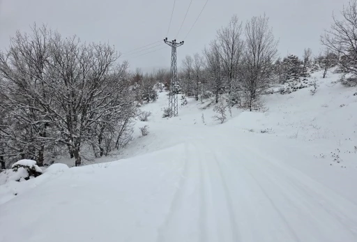 Elazığ&rsquo;da kar başladı, 311  k&ouml;y yolu ulaşıma kapandı
