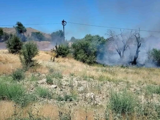 Elazığ’da korkutan yangın: Onlarca dönümlük alan kül oldu
