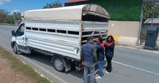 Elazığ&rsquo;da Kurban Bayramı &ouml;ncesi hayvan sevklerine sıkı denetim
