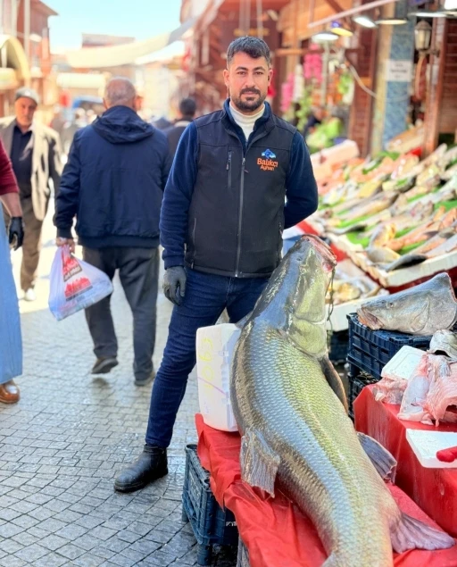 Elazığ&rsquo;da kurban pazarlığını aratmayan g&ouml;r&uuml;nt&uuml;: Vatandaşlar dev balık i&ccedil;in yarıştı
