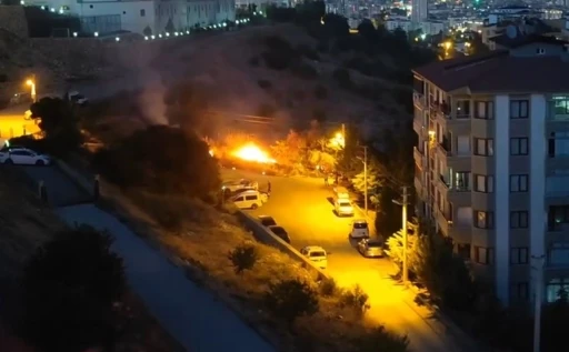Elazığ’da ot yangını
