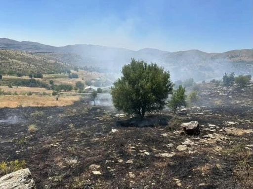 Elazığ’da otluk alanda çıkan yangın söndürüldü
