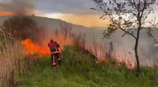Elazığ&rsquo;da otluk alanda yangın
