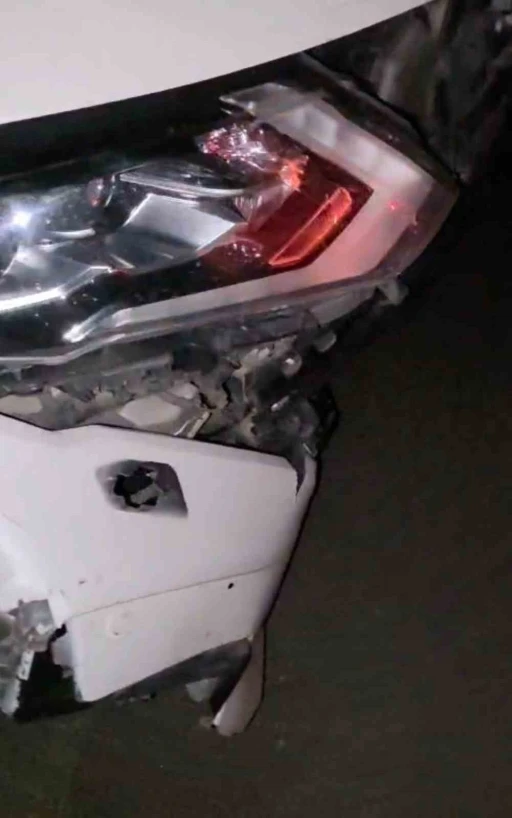Elazığ&rsquo;da otomobil domuz s&uuml;r&uuml;s&uuml;ne &ccedil;arptı
