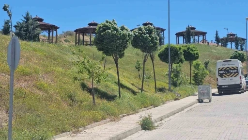 Elazığ&rsquo;da şiddetli r&uuml;zgar etkili oldu
