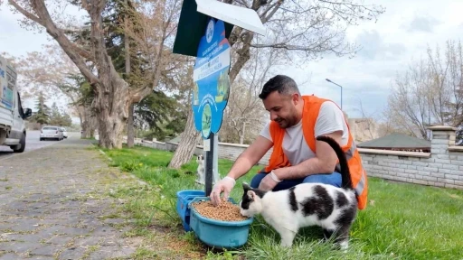 Elazığ&rsquo;da sokak hayvanlarına mama desteği s&uuml;r&uuml;yor
