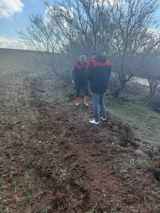 Elazığ&rsquo;da tarla faresi  s&uuml;rvey &ccedil;alışması
