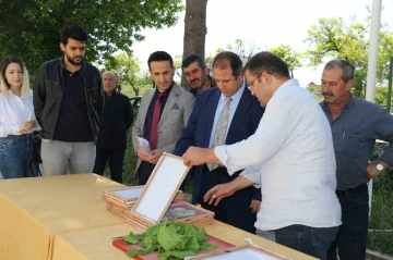 Elazığ’da üreticilere ipek böceği larvası dağıtıldı
