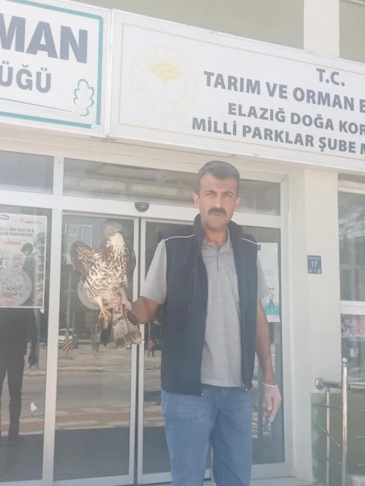 Elazığ’da yaralı şahin tedavi altına alındı
