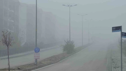 Elazığ’da yoğun sis, bir mahalle adeta kayboldu
