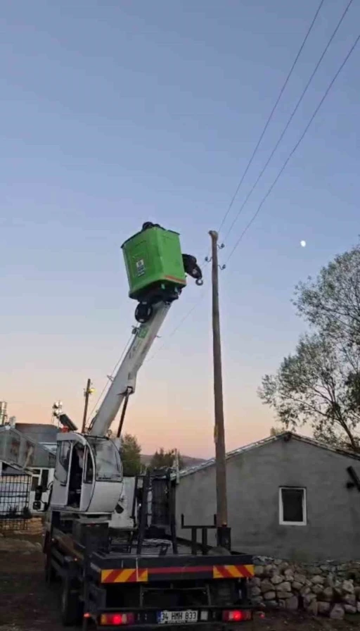 Elektrik direğinde mahsur kalan kediyi ekipler kurtardı
