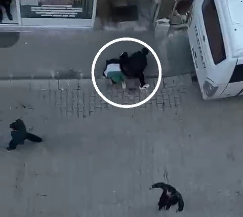 Elinde torpil patlayan çocuk ağır yaralandı

