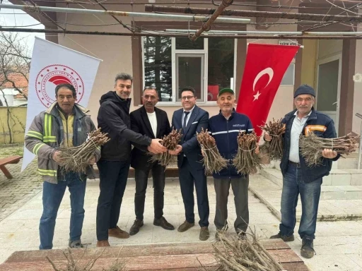 Emet&rsquo;te 35 &uuml;reticiye 980 adet &uuml;z&uuml;m fidanı dağıtıldı
