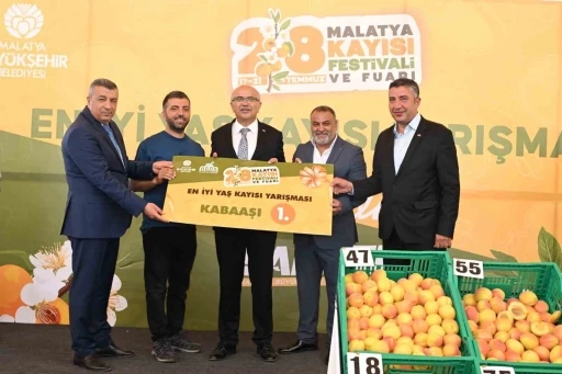 &rsquo;En İyi Kayısı&rsquo; yarışması d&uuml;zenlendi
