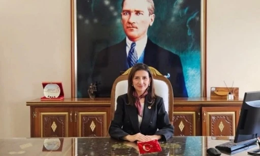 Enez Kaymakamı Ayık&rsquo;ın da bulunduğu ara&ccedil; kaza yaptı
