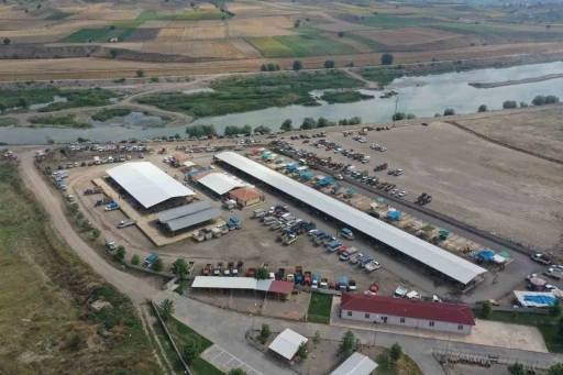 Erbaa&rsquo;da koyun &ccedil;i&ccedil;ek hastalığı nedeniyle hayvan pazarı kapatıldı
