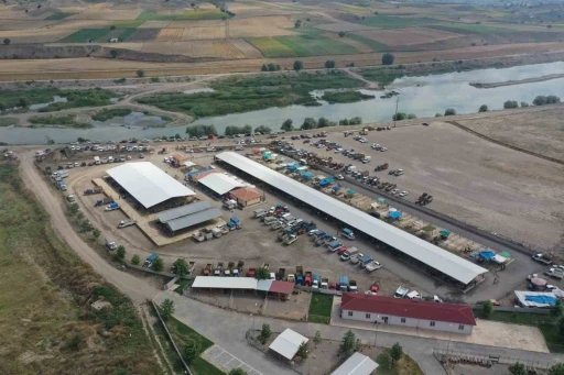 Erbaa hayvan pazarı yeniden a&ccedil;ılıyor

