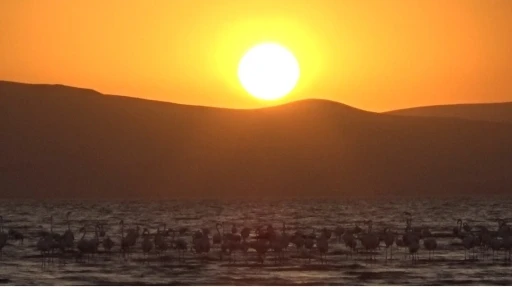 Erçek Gölü’nde kızıllığa bürünmüş gün batımı büyüledi
