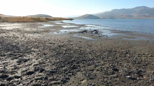 Erçek Gölü’nde su çekilince mikrobiyalitler ortaya çıktı
