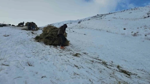 Erciş&rsquo;te asırlık kış mesaisi: Otlar kızaklarla k&ouml;ye taşınıyor
