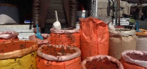 Erciş’te bal arıları baharatçıya akın etti
