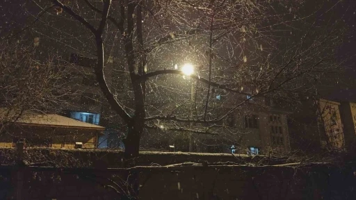 Erciş&rsquo;te kar yağışı
