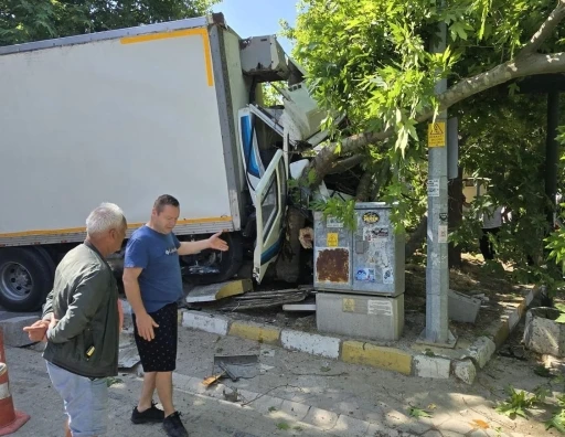 Erdek Ocaklar’da kaza: Freni patlayan kamyon ağaca çarptı
