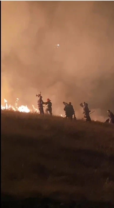 Ermenistan sınırında korkutan örtü yangını
