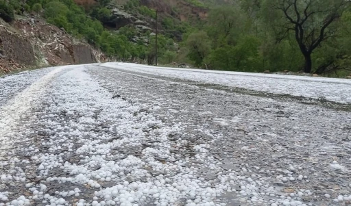 Erzincan&rsquo;da dolu yağışı etkili oldu
