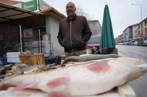 Erzincan’da Fırat balığı 250 TL’den alıcı buluyor
