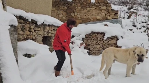 Erzincan&rsquo;da hava soğudu, y&uuml;ksek kesimlere kar yağdı

