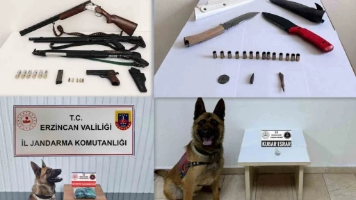 Erzincan&rsquo;da Haziran ayında 217 olayın y&uuml;zde 98&rsquo;i aydınlatıldı
