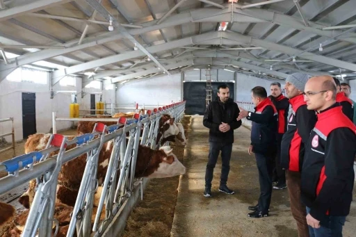 Erzincan&rsquo;da hibe desteğiyle kurulan tesis &uuml;retime başladı
