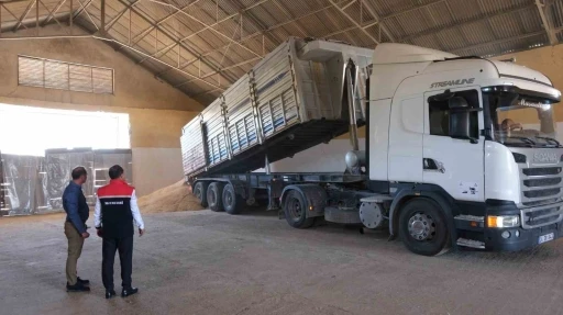 Erzincan’da hububatta ilk hasat başladı
