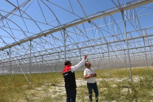 Erzincan’da jeotermal sera yatırımları devam ediyor
