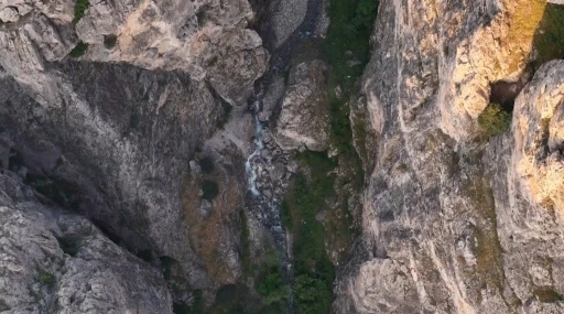 Erzincan’da kanyonlarla bütünleşen yaban keçileri

