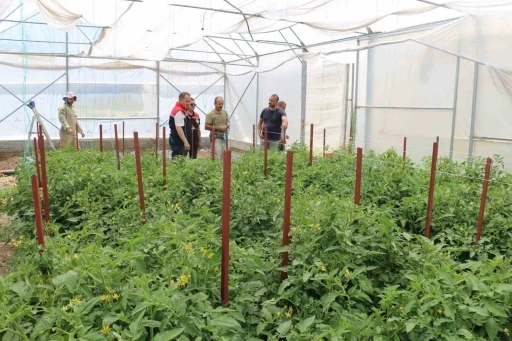 Erzincan&rsquo;da seracılık yatırımları &uuml;retimi artırıyor
