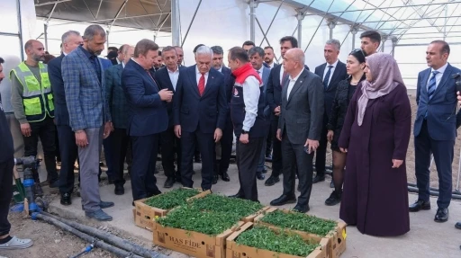 Erzincan&rsquo;da tarımsal &uuml;retimi artıracak proje yerinde incelendi
