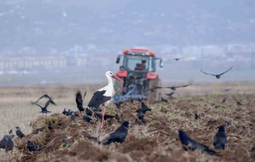 Erzincan&rsquo;da zirai don uyarısı
