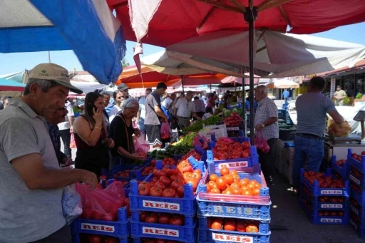 Erzincan domatesi çevre illerde sofraları süslüyor
