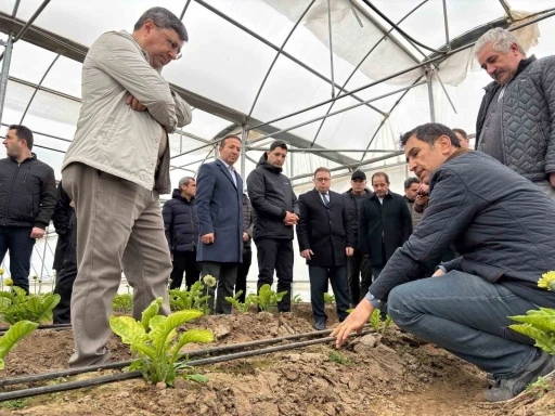 Erzincan heyeti Erbaa Kesme Çiçek Üretim Bölgesinde incelemede bulundu
