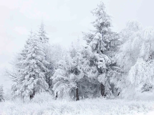 Erzincan i&ccedil;in kuvvetli kar yağışı uyarısı
