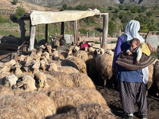 Erzincan Tulum Peyniri yaylalarda geleneksel y&ouml;ntemlerle &uuml;retiliyor
