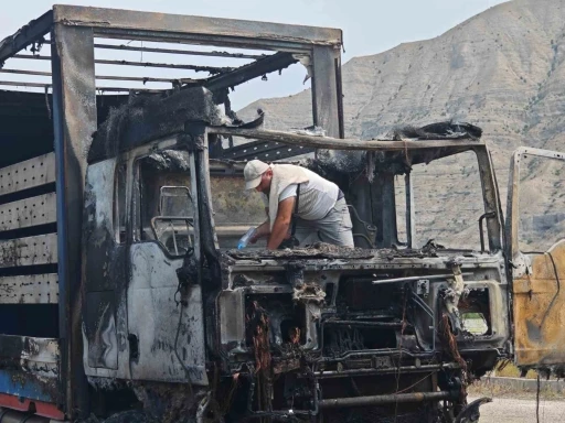 Erzurum-Artvin yolunda tır alev alev yandı
