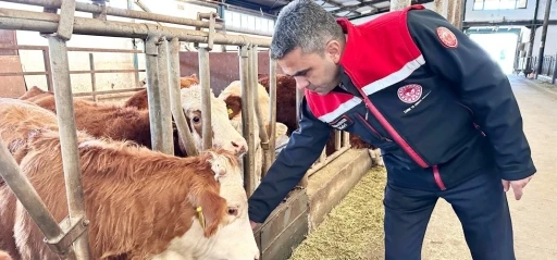 Erzurum&rsquo;da 2025 yılında &uuml;reticiye g&uuml;&ccedil;l&uuml; destek
