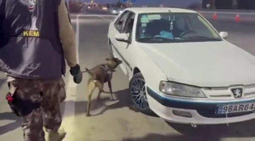 Erzurum’da araçta gizlenmiş uyuşturucuyu ’Magnum’ buldu
