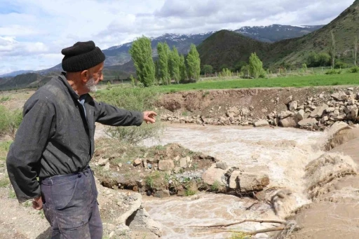 Erzurum&rsquo;da boz ayı Oltu &Ccedil;ayı&rsquo;nda telef oldu
